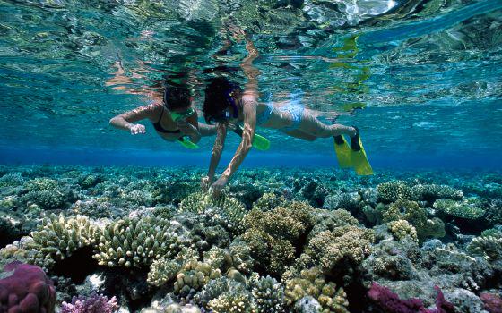 bthetravelbrand's tweet photo. El mejor #buceo del mundo http://t.co/lJT0N7WbXM vía @ElViajero_Pais http://t.co/hmFAZU4NB2