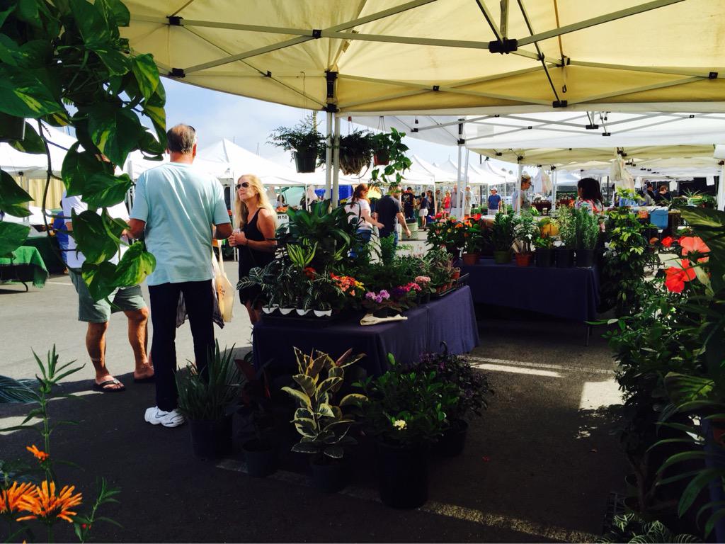 ChannelIslandFM's tweet photo. Visit Mi Refugio for plants of all colors and varieties! http://t.co/cszsb8DGhv
