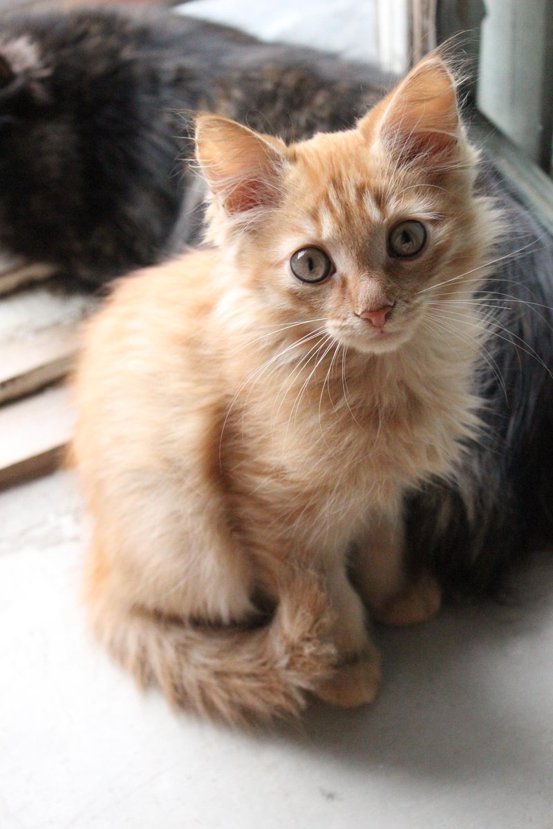 mybugurt's tweet image. 