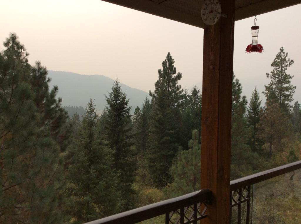 John M Peck tweet media