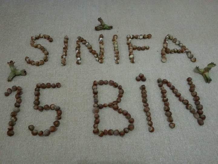 esra4178's tweet photo. GelecegeUmut Sinifa15Bin istemez misiniz huzurlu bir gelecek sağlayalım yavrularımıza @hmzaydg @Yusuf__Tekin http://t.co/oZQfdwqdhn