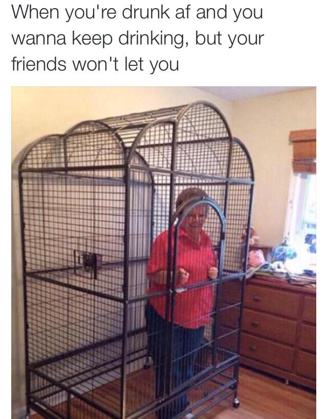 gimmedatblunt's tweet image. Does a caged bird sing? @ILLIte 😂😂😂😂😂 #ElementsNYC #sobersaturday