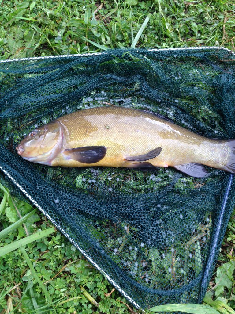 FelgateShane's tweet image. Nice day fishin 😃