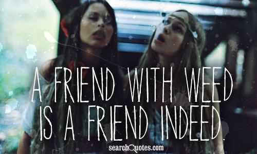 STONERClTY's tweet image. 