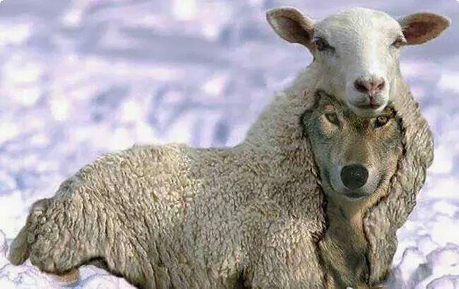 CvvdIran's tweet image. #2Read @PHammondMP 
The smiling faces of the Iranian government ara.tv/5ndrj
#2RT @peymaneh123 @nehadismail