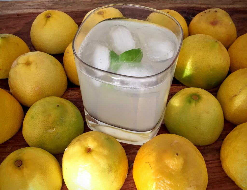 ButICanCook's tweet image. Beat the summer heat with Basil Lemonade! buticancook.wordpress.com/2015/08/23/bas…