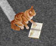 ChanceJaquin's tweet image. What a cute &amp;amp; smart cat 😺