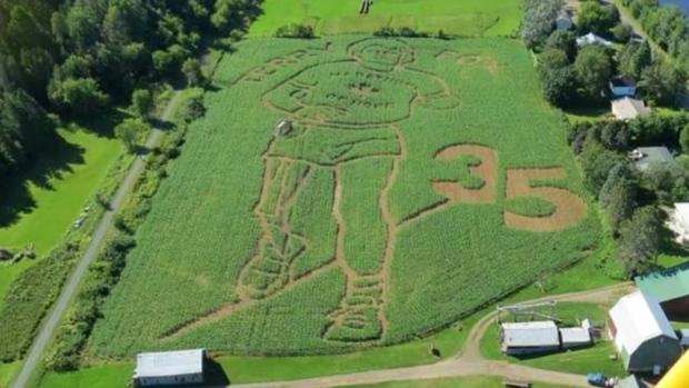 CBCNews's tweet image. Farm pays tribute to Terry Fox in corn maze cbc.ca/news/canada/ne…