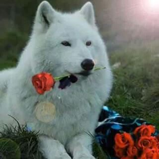 vale amiga :3 tweet media