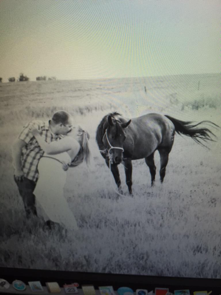 colewillmott's tweet photo. Love seeing my old horse!! Can believe what she looks like now! http://t.co/kdEUztIZ5J