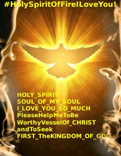 MI_IMMACULATA's tweet photo. @Reynolds2G @mariainyambu @testisfidelis @JefferyFasching @Ta7rmpMike @Sister_4_Life @sistervpaul_ @jcdrex #_PRAY! http://t.co/gMlhGQqqCd