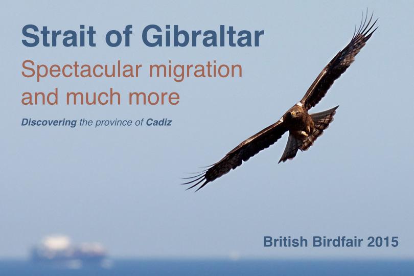 Leaving the #Birdfair ! Thanks to all who assisted to our talk about the Strait of Gibraltar and #Cadiz #
