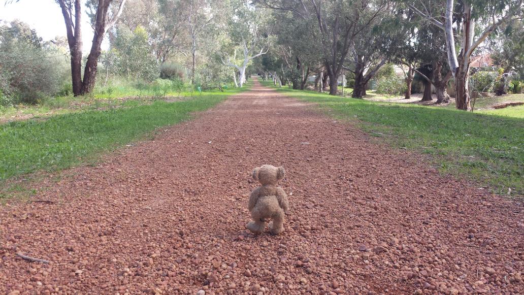RedEarthBluBoot's tweet photo. Lovely to be home.
Back in the tent tonight a Toodyay for a few days . Time to share and reflect.
#journey http://t.co/JKqCVOmAPt