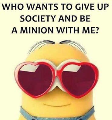 angelsnogs's tweet photo. Only Minions Can Express Who I Truly Am #MinionLover #MinionsOnly 😍😘😊 http://t.co/Ddc2wJ1R7Q