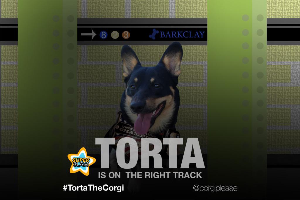 CorgiPlease's tweet image. ITS TIME FOR #SummerSlam! I mean #SuperSlam! Where #TortaTheCorgi defends his title in a FRAP match! Only on #PPV!