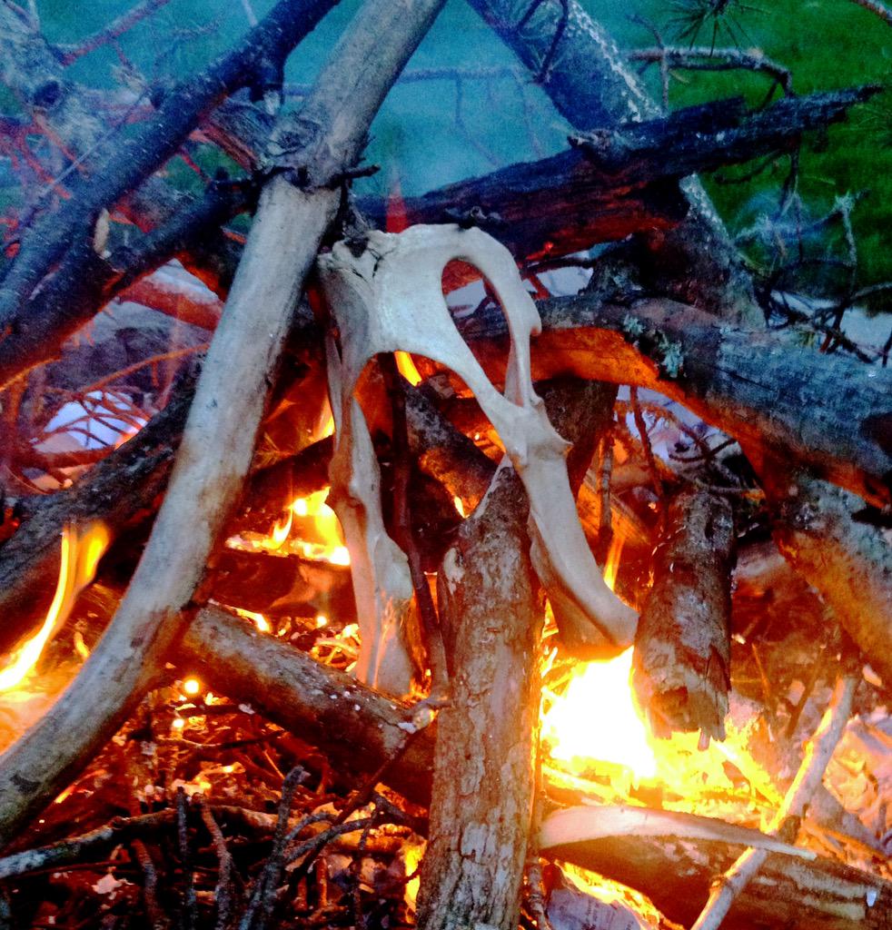 RedApropos tweet media