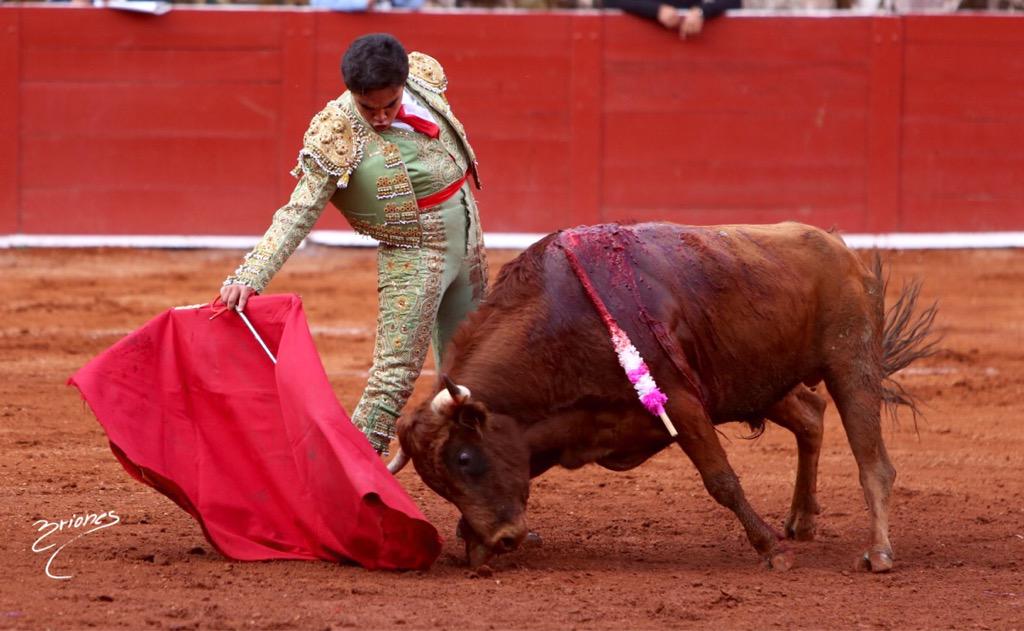 FOTOBRIONES's tweet photo. Una oreja para #alejandroparedes #descubriendountorero #monumentalzacatecas @RTVTOROS @descuntorero http://t.co/qa3wdd5m0b