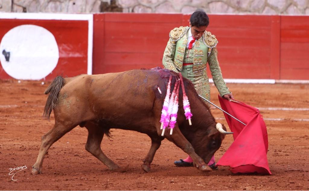 FOTOBRIONES's tweet photo. Una oreja para #alejandroparedes #descubriendountorero #monumentalzacatecas @RTVTOROS @descuntorero http://t.co/qa3wdd5m0b