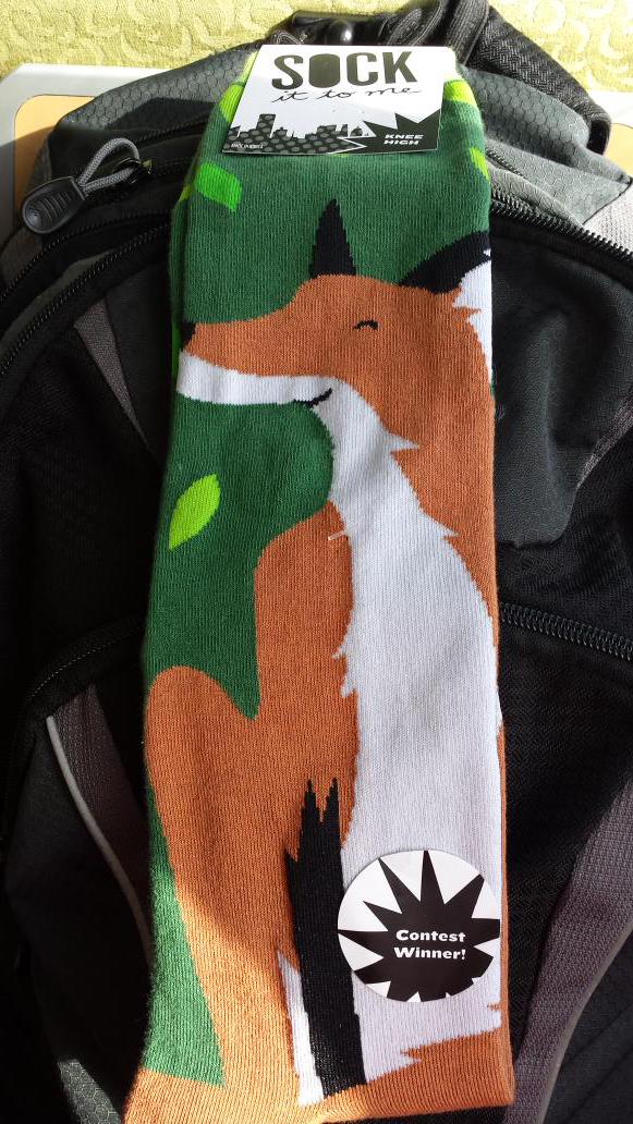 Aud22's tweet photo. I had to. @foxy_friends @matts_hips @MattsMoustache #foxysocks #SFShenanigans http://t.co/7l4WkxWXWa