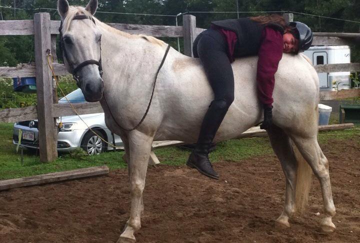 These two have an amazing relationship 💗#ponylove #horselover #shivermetimber