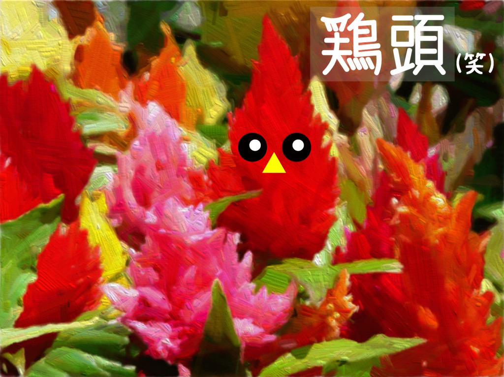 はなさくきゃらばん Solaの花言葉 8月24日 誕生花 ケイトウ 鶏頭 ヒユ科鶏頭属 花言葉 お洒落 個性 豆 トサカ鶏頭や槍鶏頭ナド種類は様々 画像は 羽毛鶏頭 はなさくきゃらばん 花言葉 Http T Co 1a9nkgctix はなさくきゃらばん Solaの花言葉 8月24日 誕生花 ケイトウ 鶏頭 ヒユ科鶏頭属 花言葉 お洒落 個性 豆 トサカ鶏頭や槍鶏頭ナド種類は様々 画像は 羽毛鶏頭 はなさくきゃらばん 花言葉 Http T Co 1a9nkgctix