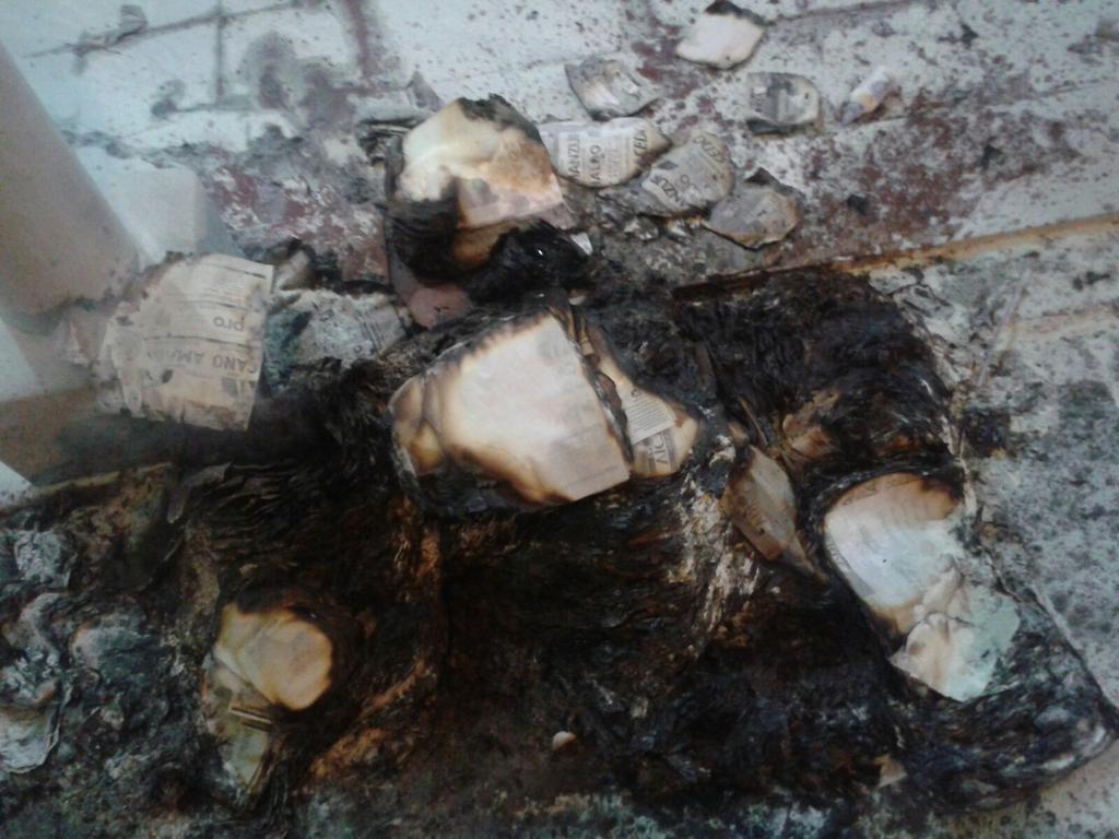 Enlace permanente de imagen incrustada