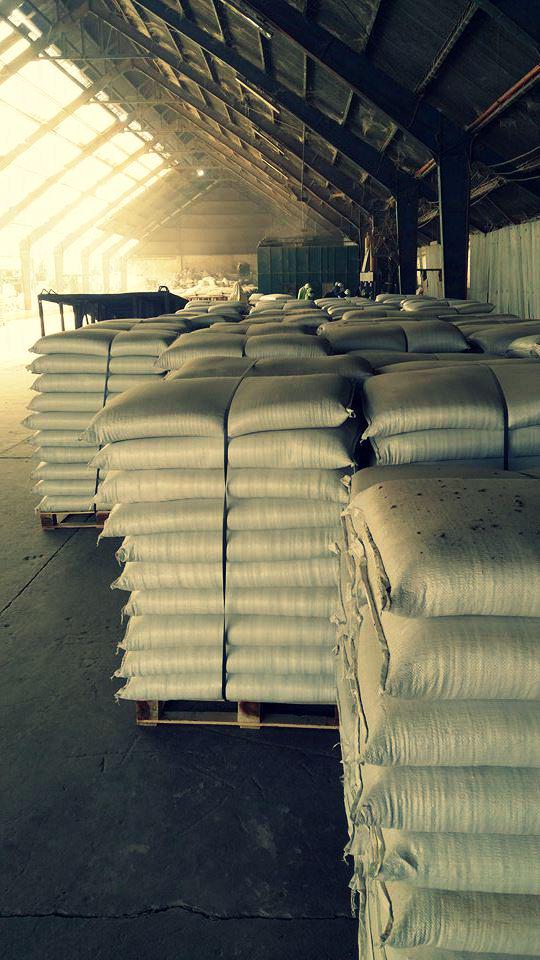 AgrotecPJInc's tweet photo. Ready for shipment. Sunny Monday indeed! 
#MoreSun #MoreHarvest #MoreShipment #DriedPineapplePulp #AnimalFeed http://t.co/voeXDLfQRP