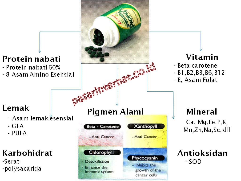 Kandungan dalam Spirulina Pacifica