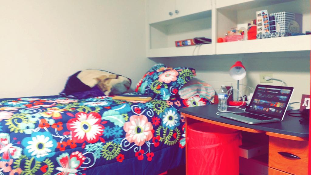 grayy_mtz's tweet photo. @TAMUResLife Finally Done unpacking!
#Aggies http://t.co/BTbgxN37kG