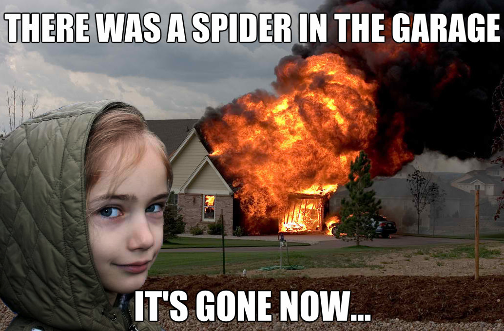 BlackHalt's tweet photo. Spider http://t.co/DtTubD5Kk4