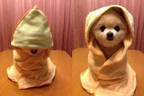 AwwwAnimaIs's tweet photo. just got out the shower, no makeup https://t.co/dcofS9f9v3