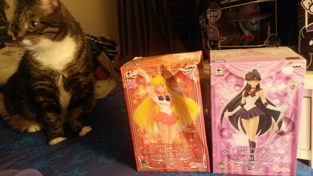 Pretear's tweet photo. My goodies from #BronyCon2015. Yes, I bought Sailor Moon figures there. The Luna bag is courtesy of @dethgrimm. http://t.co/ySEowNC1H6