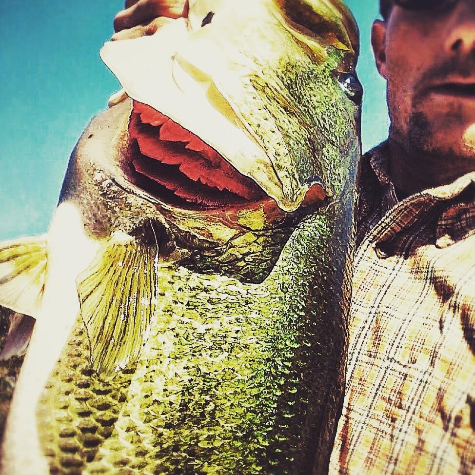 JoeMacdee's tweet photo. @bayoubugjigs Yessuhh! Lookin' forward to checkin' out da site! #bassbuggin http://t.co/oKAh9dyHtc