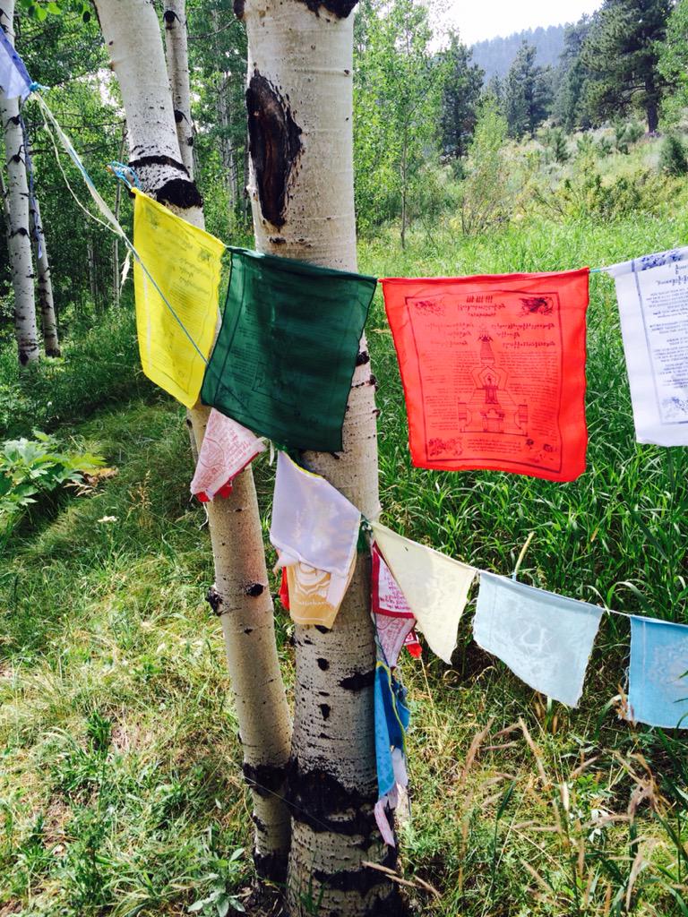 FixyMakeup's tweet image. Insight, love, and lots of ideas. #shambalacenter #newmovememt #qiflow