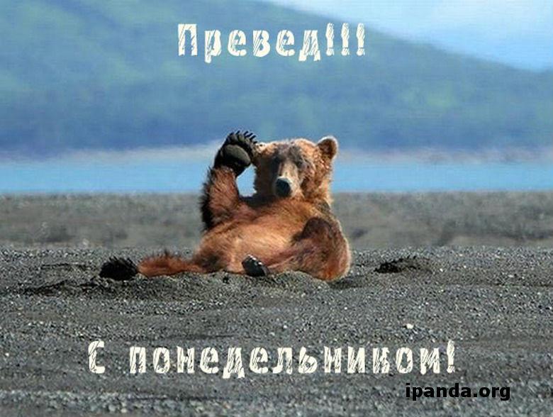 привет медведь. всем салам. салам алейкум. всем салам алейкум. салам алейкум пацаны.