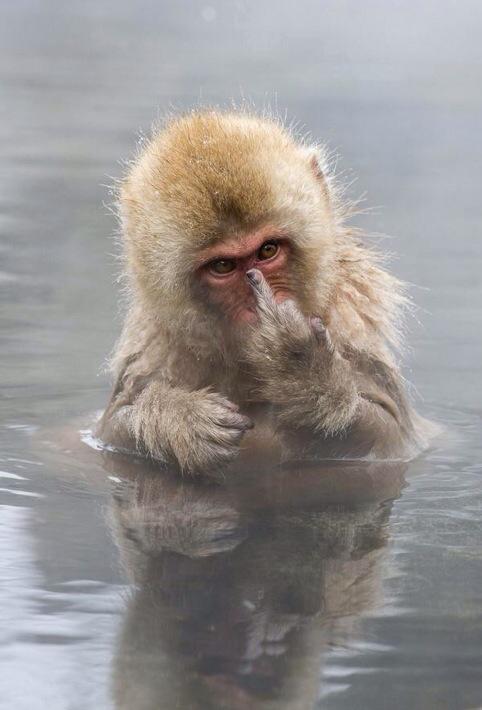 DorothyShaun's tweet photo. Fuck you Monday 👊 http://t.co/9Q34klbcvc