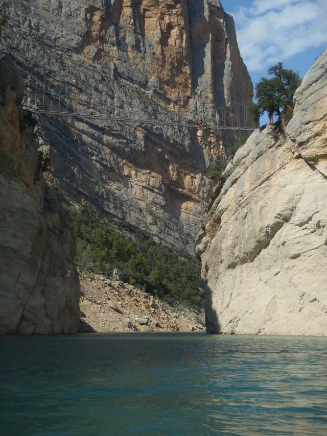 OPENSWIMMING tweet media