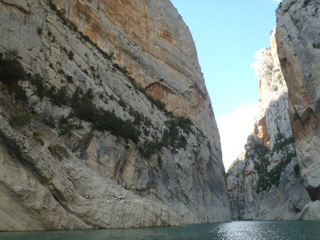 OPENSWIMMING tweet media