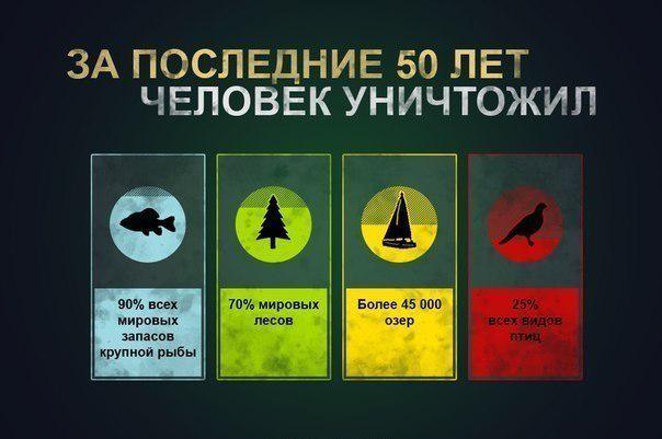 Divstore tweet media