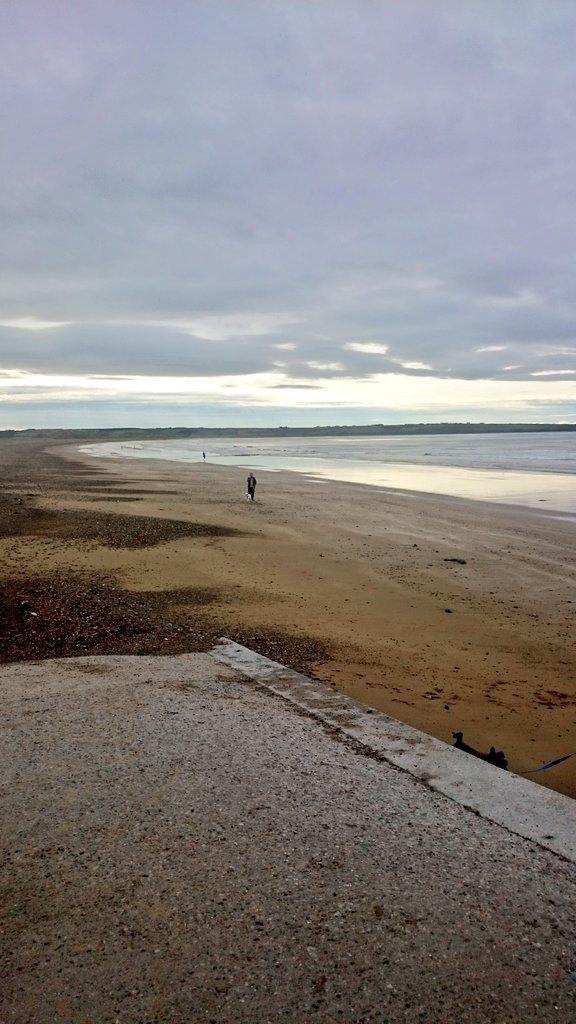 TraWildSwmrs's tweet photo. All the usuals out this morning.🌅 #Tramore http://t.co/k2eHEzd9jP