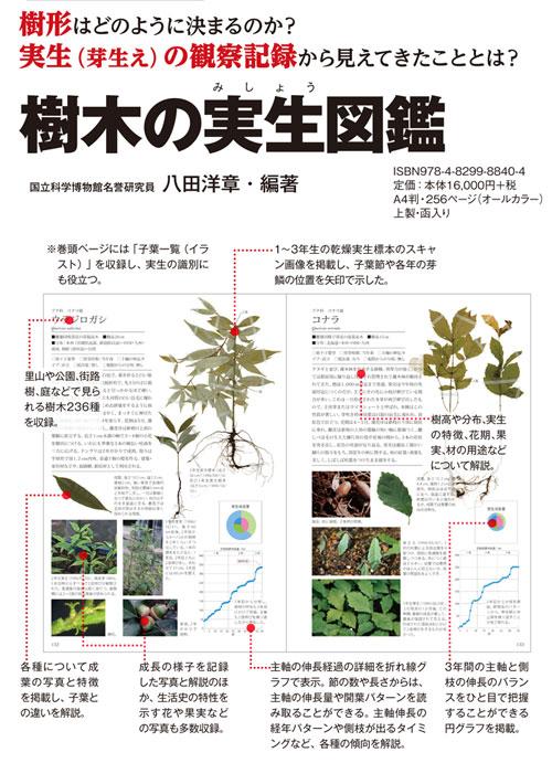文一総合出版 公式 つ 新刊続々発売中 おすすめ書籍 八田洋章 樹木の実生図鑑 芽生えと樹形形成 樹木の実生時の伸長パターンと その種の生活型とのかかわりを考察 樹形研究 樹木の生態学の基礎資料として必読の内容 T Co