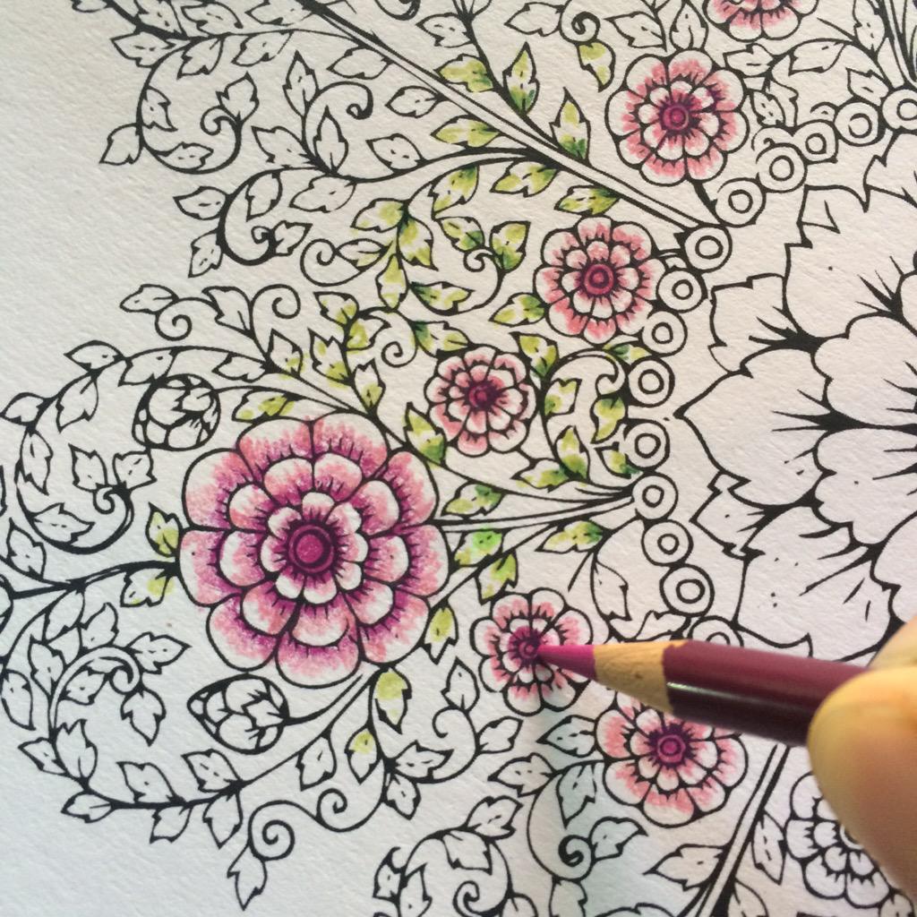 Mewarnai Bunga Dengan Pensil Warna GAMBAR  MEWARNAI HD