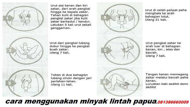 Minyak cara lintah pakai Minyak Lintah