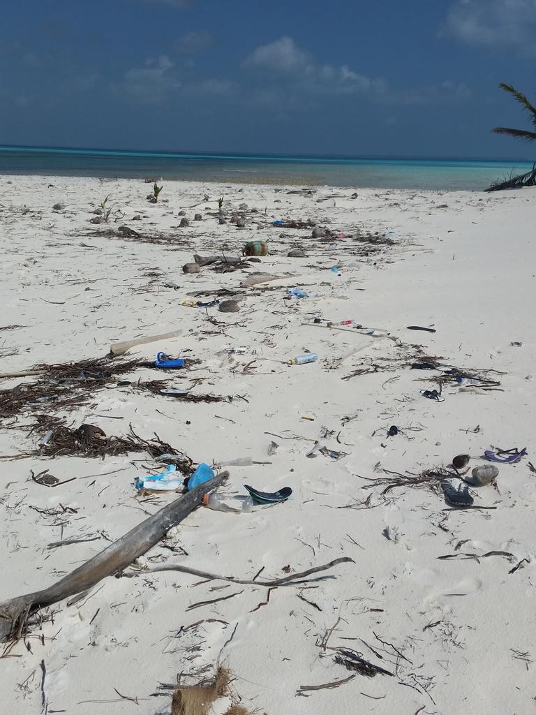 E__Jackson's tweet image. Put your litter in the bin Australia, or it will end up in our oceans and on our beaches #KABweek @NACC_NRM