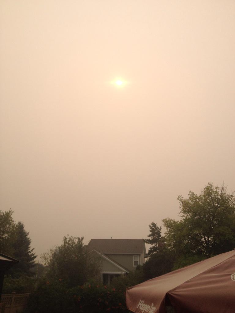 View image on Twitter