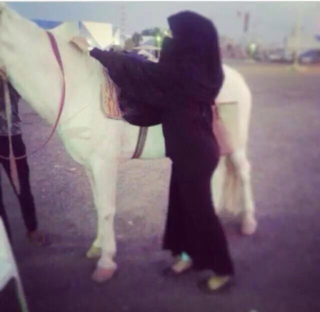 NOOF112111's tweet photo. ي حبي للخيل http://t.co/KUYxzGw4RK