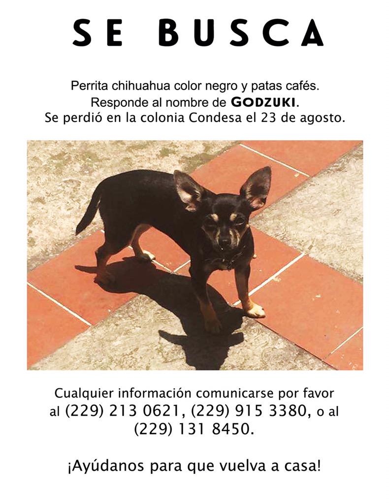 Orlando Navarrete tweet media