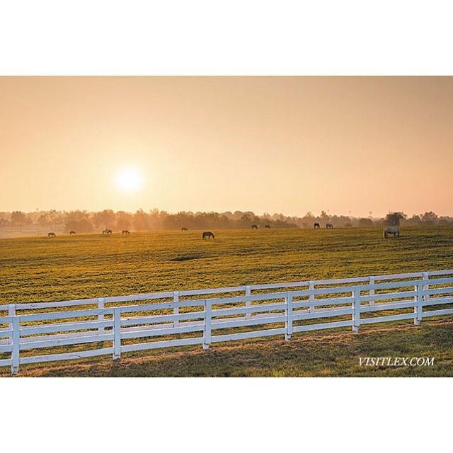 VisitLEX's tweet photo. Get outside and watch the sunrise, it'll make you feel good. http://t.co/t5xcAoCwLx