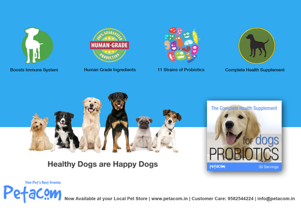 petacomindia's tweet photo. PetaBiotics - The Complete Health Supplement for your dogs! #HealthSupplementForDogs #ProbioticsForDogs #HealthyDogs http://t.co/csQ1Yzc2ke