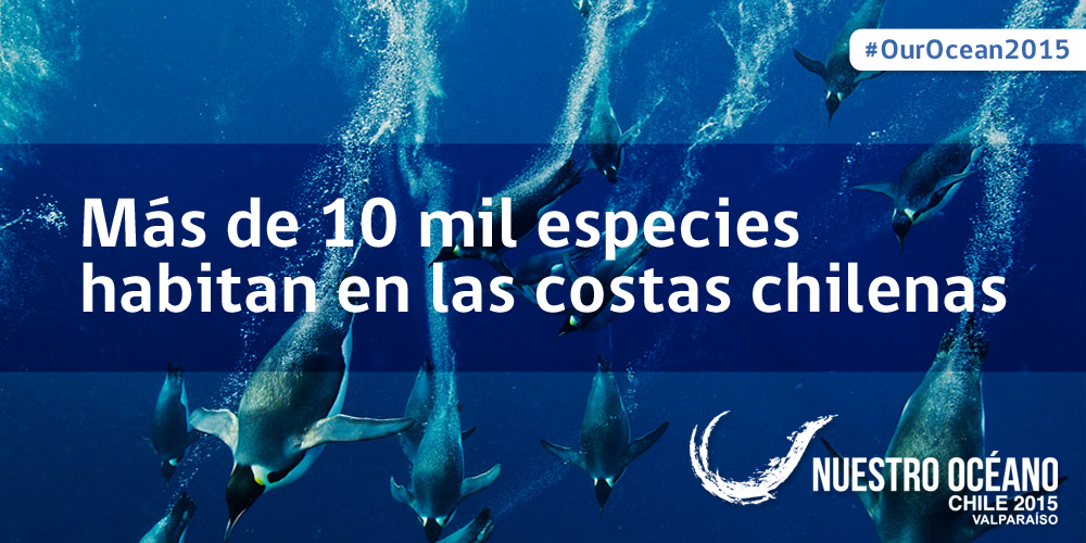 Minrel_Chile's tweet photo. Chile es una de las 25 zonas con mayor biodiversidad marina en el mundo #OurOcean2015 http://t.co/Jd2FLW9mC1 http://t.co/M5RF7zsNb8